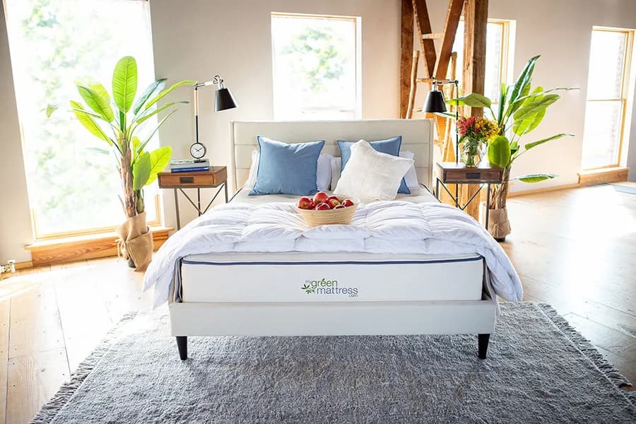 My Green Mattress